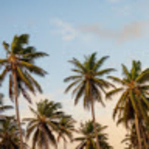 Meet your Posher, Evan